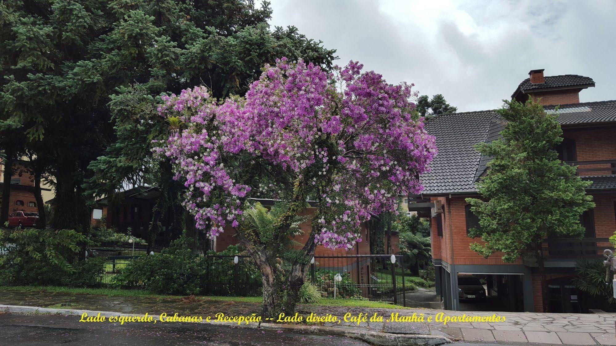 Hotel Pequeno Bosque Gramado Exterior photo